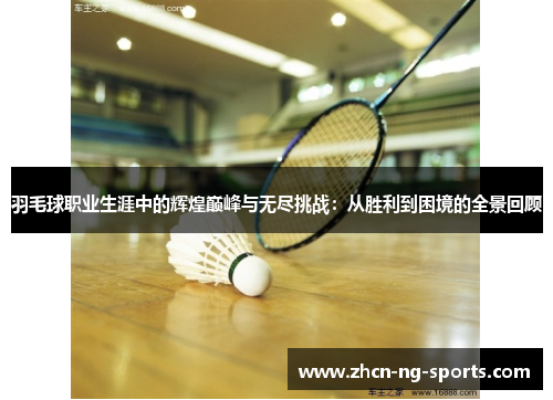 羽毛球职业生涯中的辉煌巅峰与无尽挑战：从胜利到困境的全景回顾